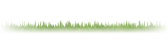 Césped de golf
